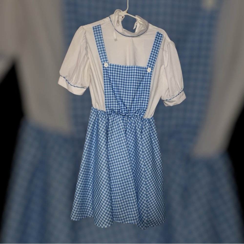 Dorothy Costume Women’s Large